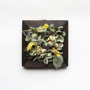 Daisy　ボタニカルフレーム